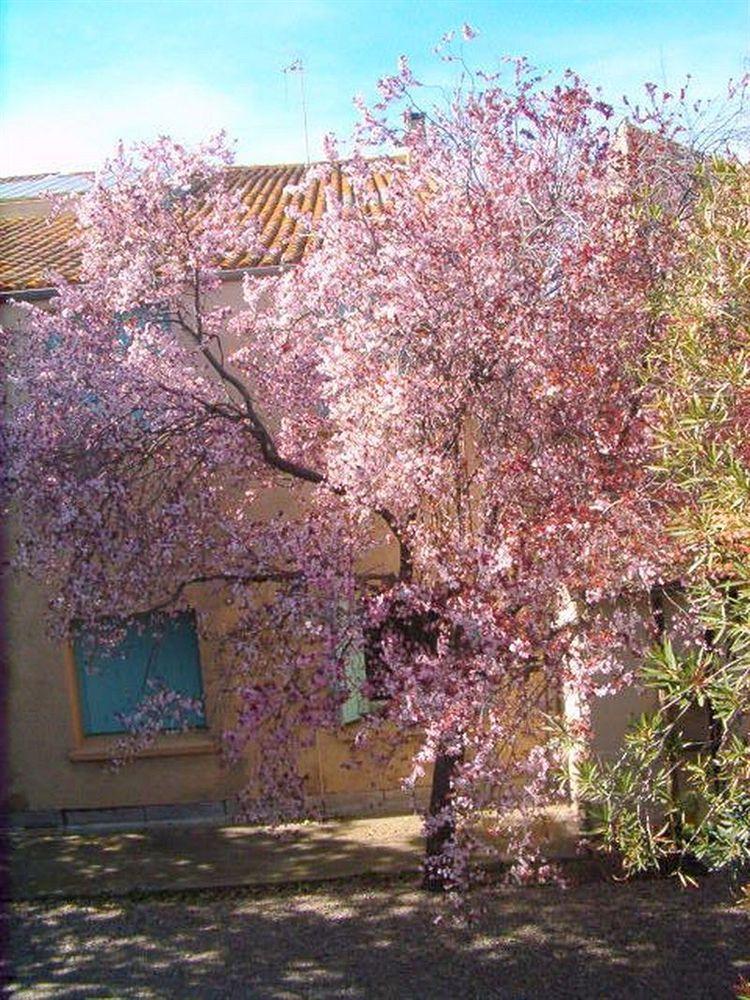 Cit'Hotel Hotel Las Cigalas Villeneuve-lès-Béziers Esterno foto